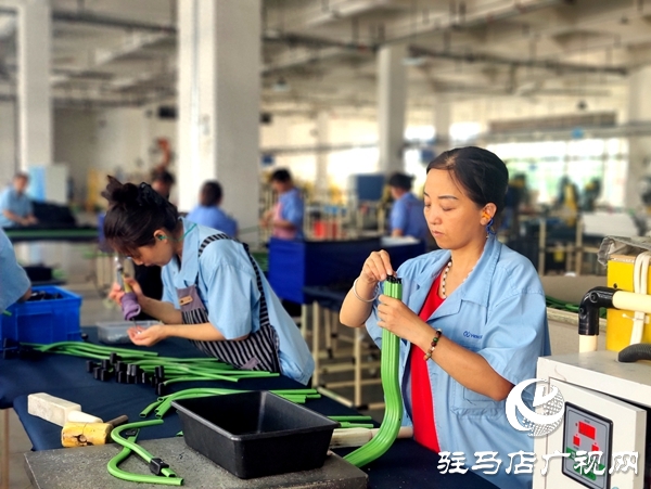 平輿縣“三園”引擎：三鏈共舞，托起強(qiáng)縣富民新圖景