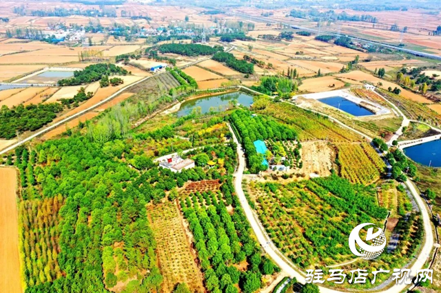 【大美天中】果香四溢 四季如畫(huà) 泌陽(yáng)打造旅游避暑勝地