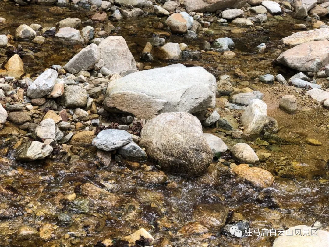 躲進(jìn)小溪的夏天，娃追著小魚，我追著娃~