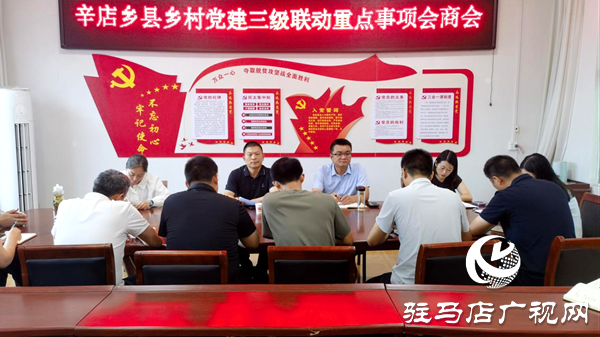 平輿縣辛店鄉(xiāng)：一線督導解難題，三級聯(lián)動強攻堅