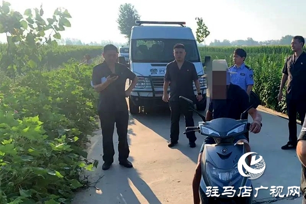平輿縣人民法院：火力全開，不懼“烤”驗(yàn)再出發(fā)！