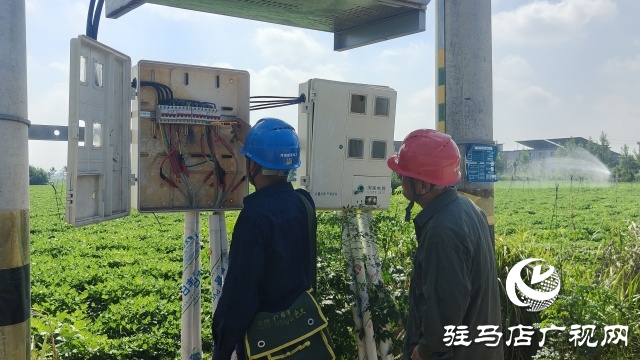 國網(wǎng)新蔡供電公司全力抗旱保電 守護民生與農(nóng)耕“生命線”