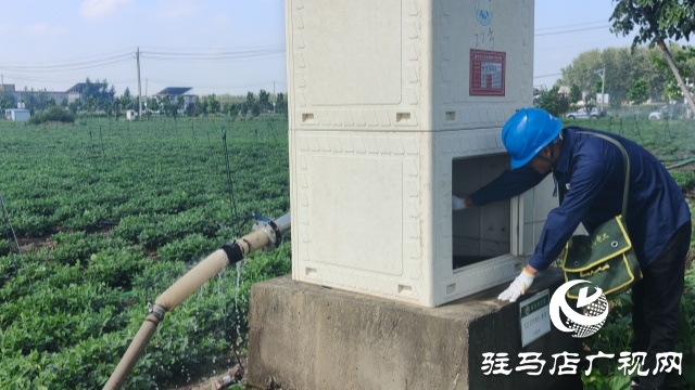 國網(wǎng)新蔡供電公司全力抗旱保電 守護民生與農(nóng)耕“生命線”