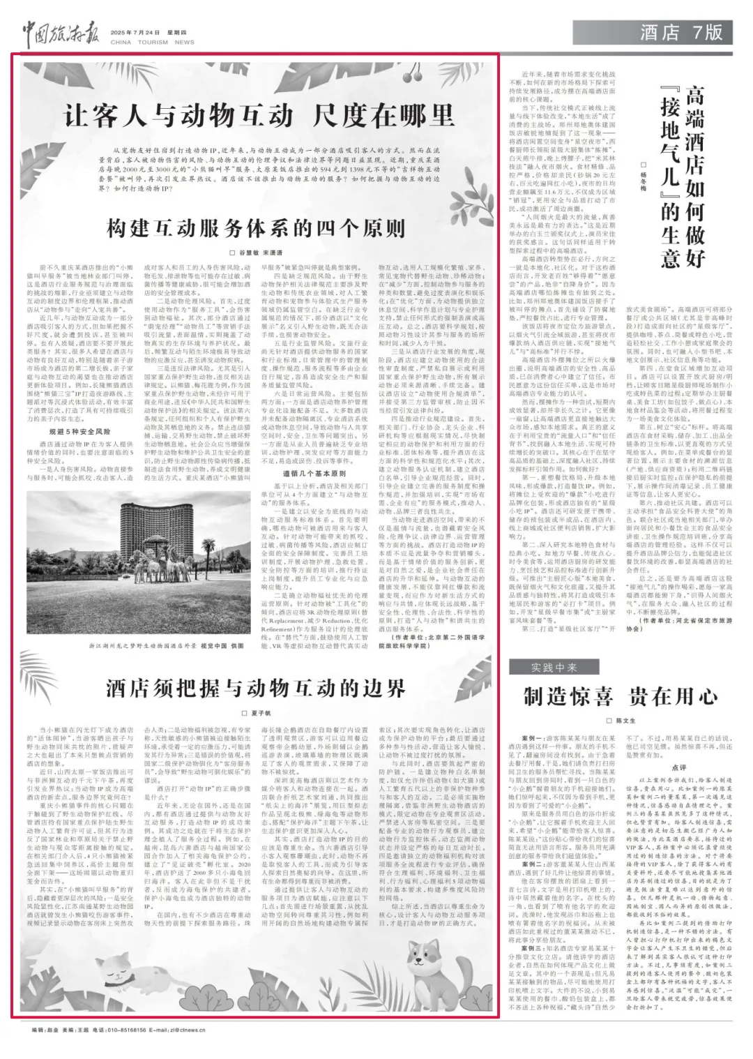 什么才是打造動(dòng)物IP的正確方式？