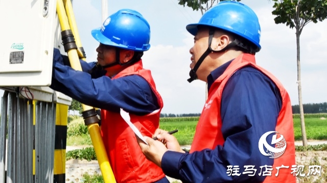 國(guó)網(wǎng)平輿縣供電公司：抗旱保電潤(rùn)芝麻 電力護(hù)航保豐收
