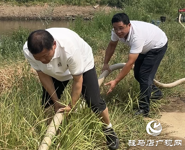 驛城區(qū)香山街道：多源聯(lián)動(dòng)為秋作物“解渴”