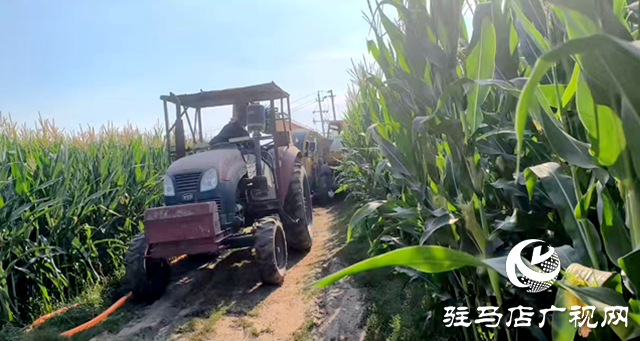 與時(shí)間賽跑！大余莊社區(qū)爭(zhēng)分奪秒修井保玉米灌溉