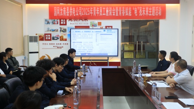 國(guó)網(wǎng)汝南縣供電公司：舉辦2025年青年員工座談會(huì)暨青春賦能 “電”亮未來(lái)主題活動(dòng)