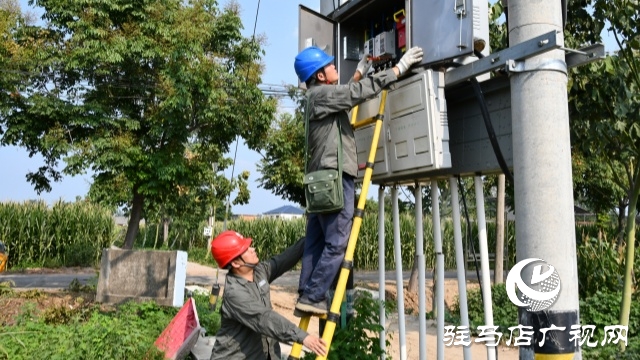 國(guó)網(wǎng)確山縣供電公司：汗水鑄就“強(qiáng)電網(wǎng)”  守護(hù)秋糧“生命線”