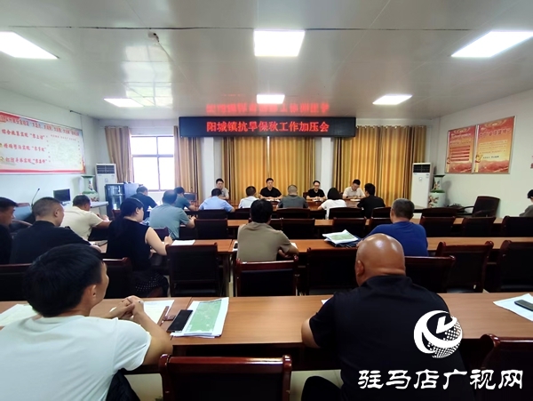 平輿縣陽城鎮(zhèn)：抗旱保秋再加壓，攻堅沖刺保秋糧