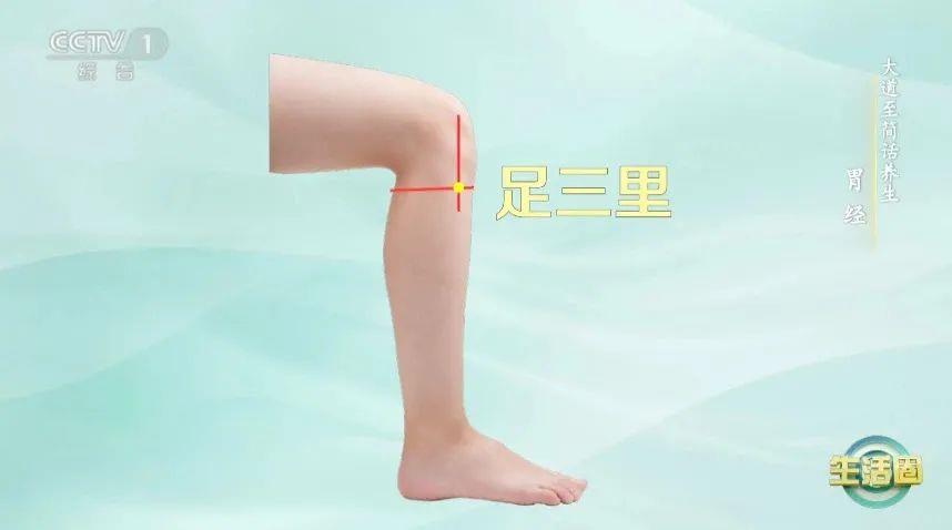 立秋如何養(yǎng)肺？怎么吃更健康？換季養(yǎng)生小貼士請(qǐng)查收