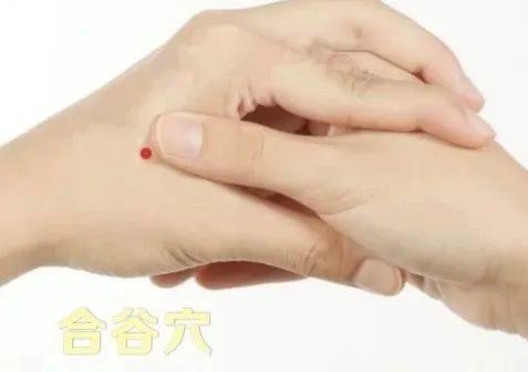 立秋如何養(yǎng)肺？怎么吃更健康？換季養(yǎng)生小貼士請(qǐng)查收