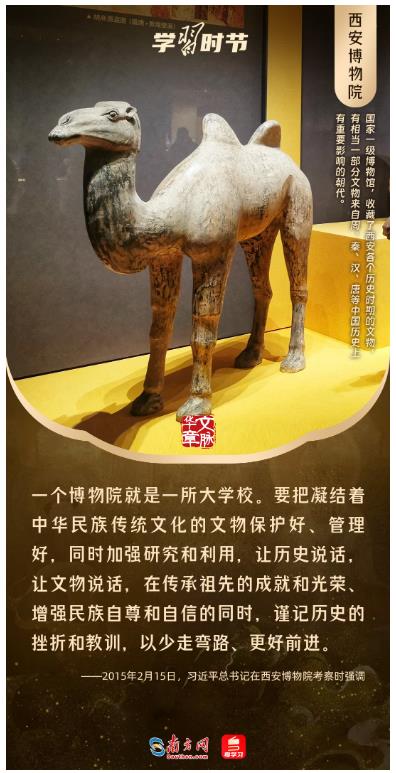 文脈華章丨暑期“博物館熱”，跟著總書記探尋中華文明