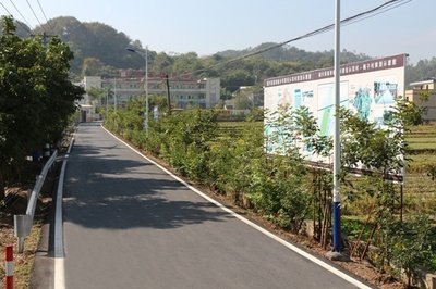 村道電線低垂致傷亡，誰該為逝去的生命負(fù)責(zé)？