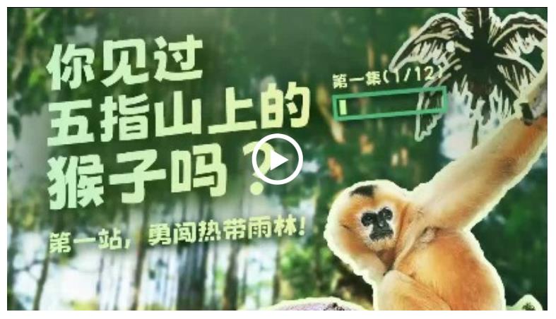 幸會(huì)中國 | 走進(jìn)五指山，探秘“人與自然和諧共生”之道