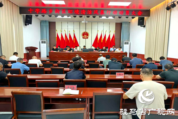 平輿縣十字路鄉(xiāng)：環(huán)境整治三步走，擦亮文明新底色