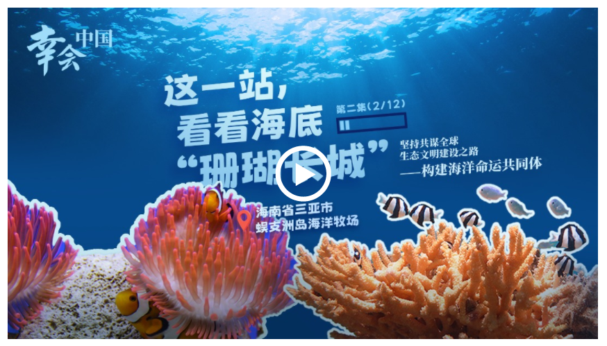 幸會中國 | 守護珊瑚之美，共筑“海洋命運共同體”