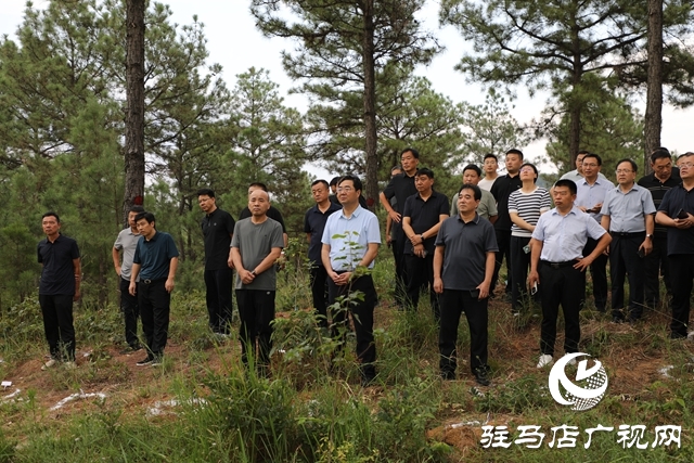 全省森林撫育經(jīng)營現(xiàn)場推進會在泌陽縣召開