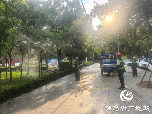  西平縣多舉措應(yīng)對(duì)白粉虱“擾民”