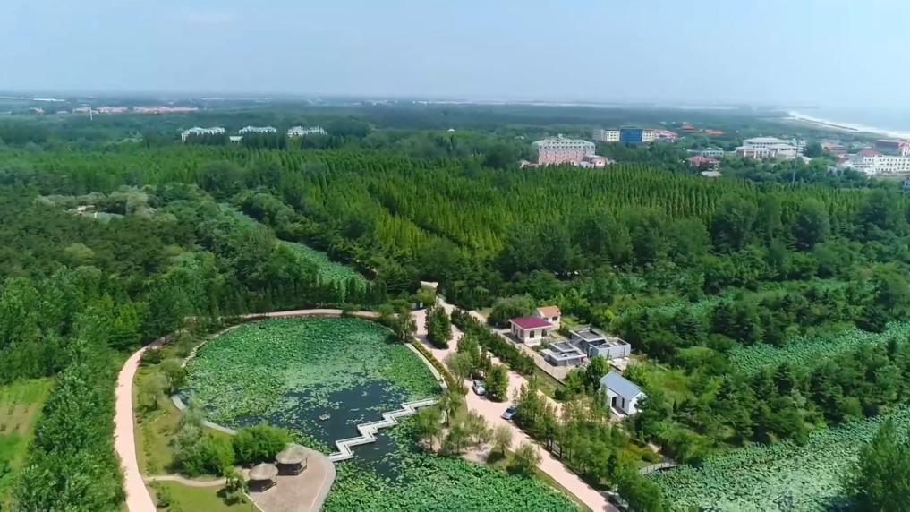 盤點暑期文旅打開方式：多元業(yè)態(tài)激活消費新動能