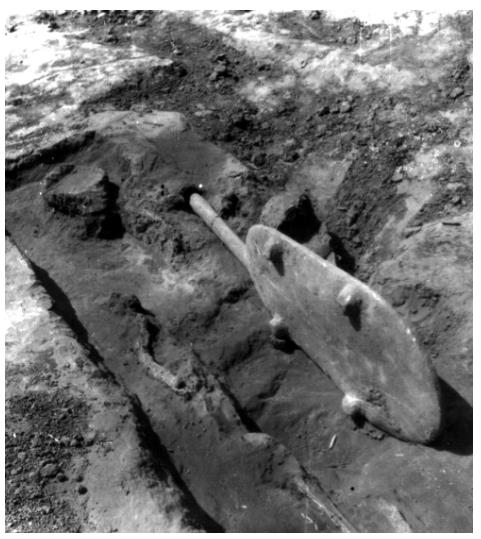 中國(guó)人“種地DNA”的源頭，藏在8000年前的河南