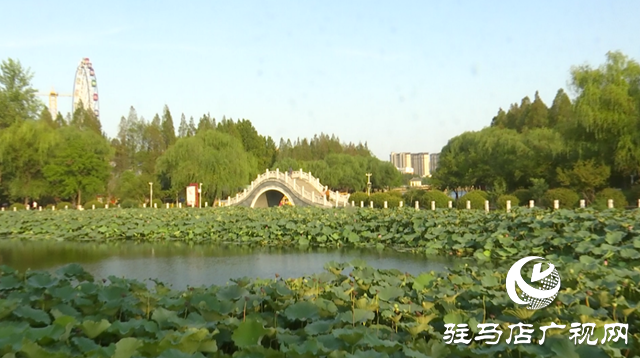 駐馬店置地公園：夏荷未盡秋意顯 荷塘景致引客來(lái)