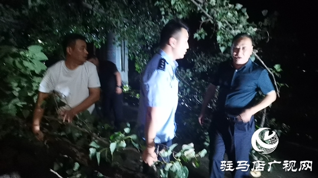  暴雨夜的守護：干群攜手“暖心”疏通出行路