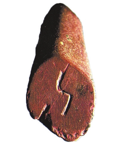 賈湖遺址發(fā)現(xiàn)中國最早木棺