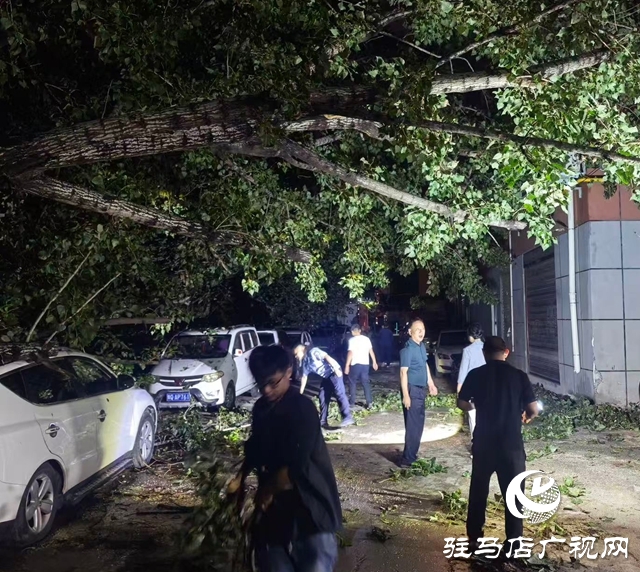  暴雨夜的守護：干群攜手“暖心”疏通出行路