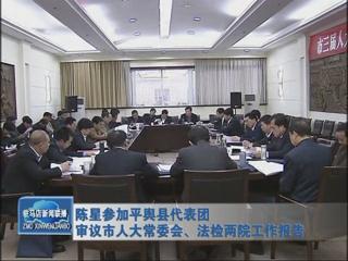 陳星參加平輿代表團(tuán)審議市人大常委會(huì)、法檢兩院工作報(bào)